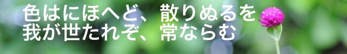 Sample title in Japanese, using the Abril Fatface character font.