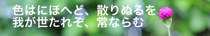 Sample title in Japanese, written with the Petit Formal Script character font.