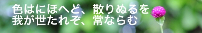 Sample title in Japanese, written with Ribeye Marrow character font.